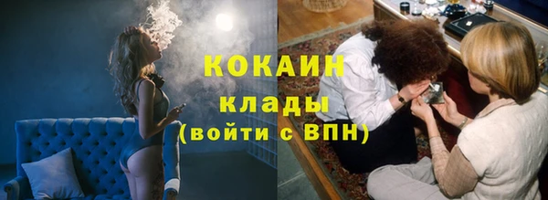 шишки Михайлов