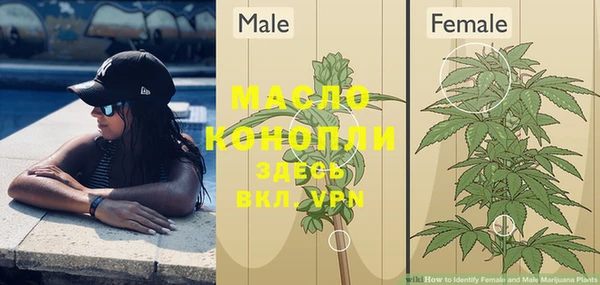 стафф Навашино