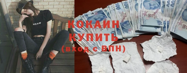 шишки Михайлов