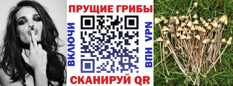 купить наркотик  ссылка на мегу ONION  Галлюциногенные грибы ЛСД  Харовск 