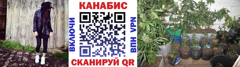 Каннабис VHQ blacksprut зеркало Харовск наркота